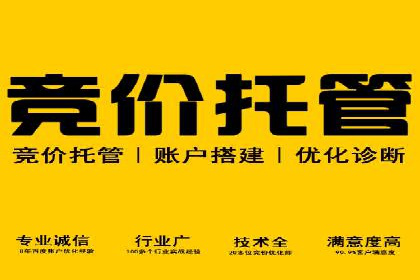 成功案例：sem竞价托管的智慧与策略